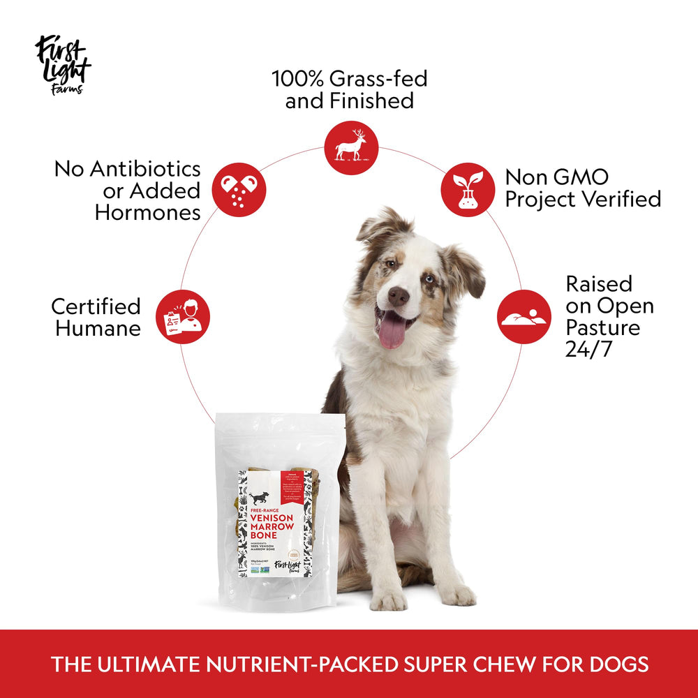 First Light: hueso tuétano de venado opción hipoalergénica para perros sensibles