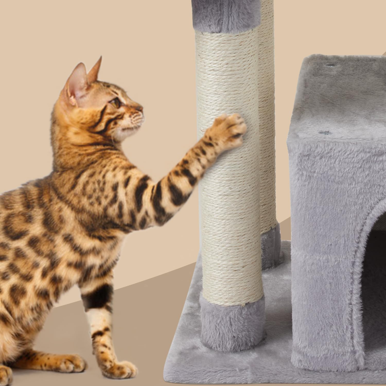 Diseño interior de FISH&NAP pensado para gatos en casa