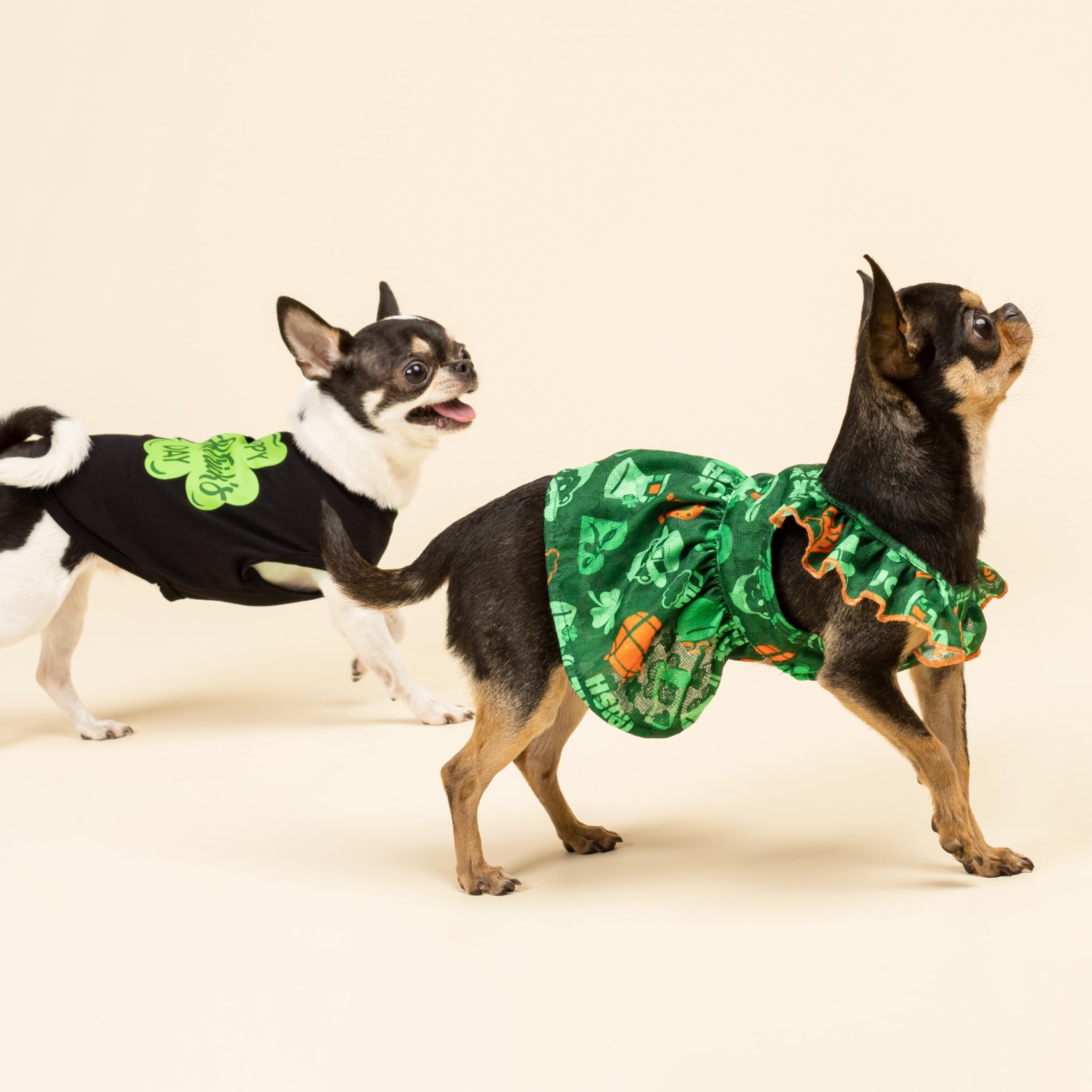 Talla media Fitwarm para perros pequeños, tejido cómodo y transpirable.