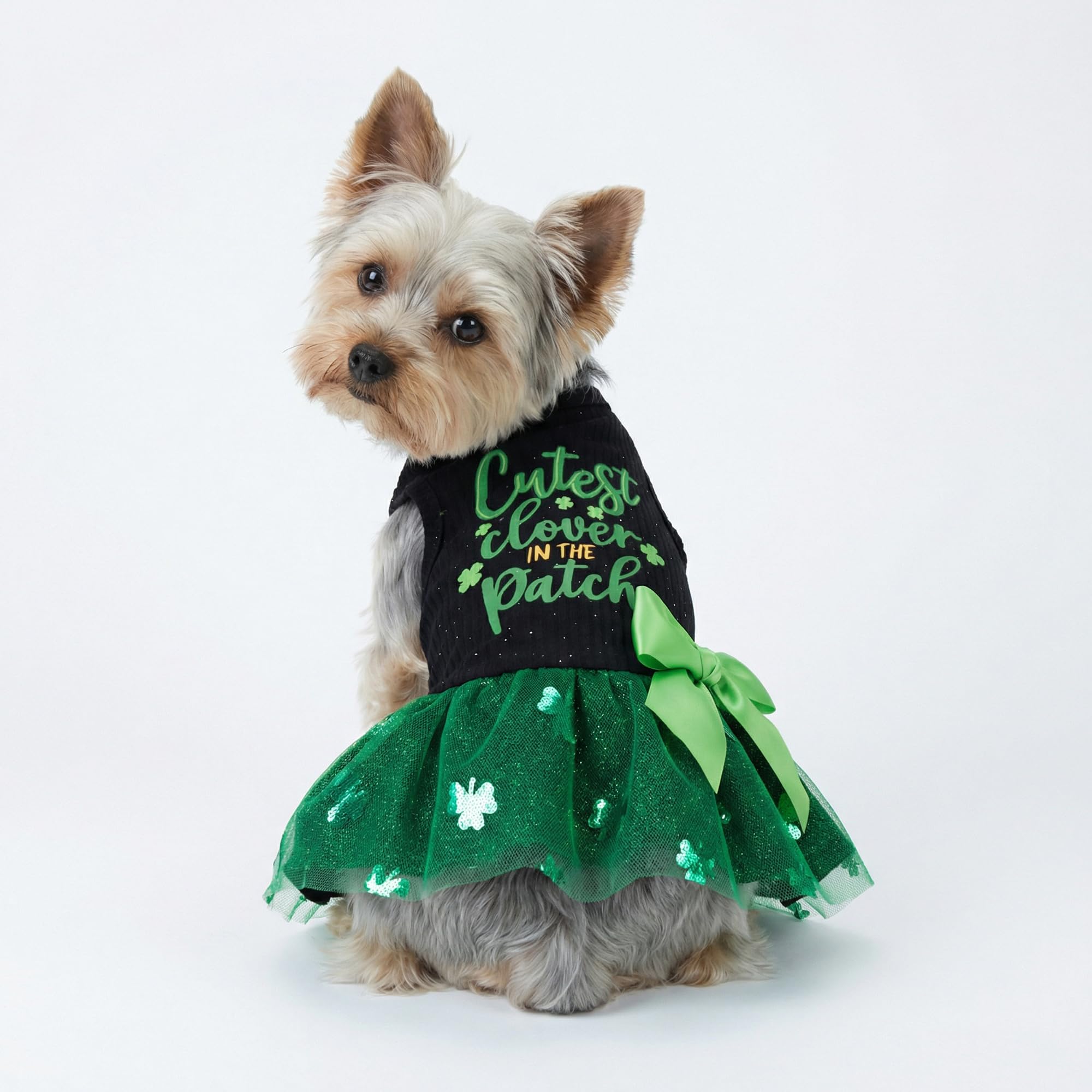 Fitwarm lazo verde lima en vestido de perro para salidas diarias.