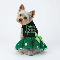 Fitwarm lazo verde lima en vestido de perro para salidas diarias.