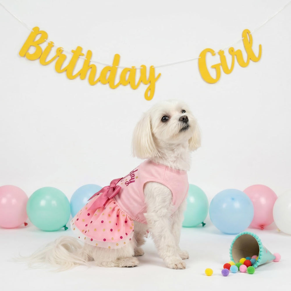 Robe Fitwarm anniversaire chien rose dos version 2, facile à enfiler.