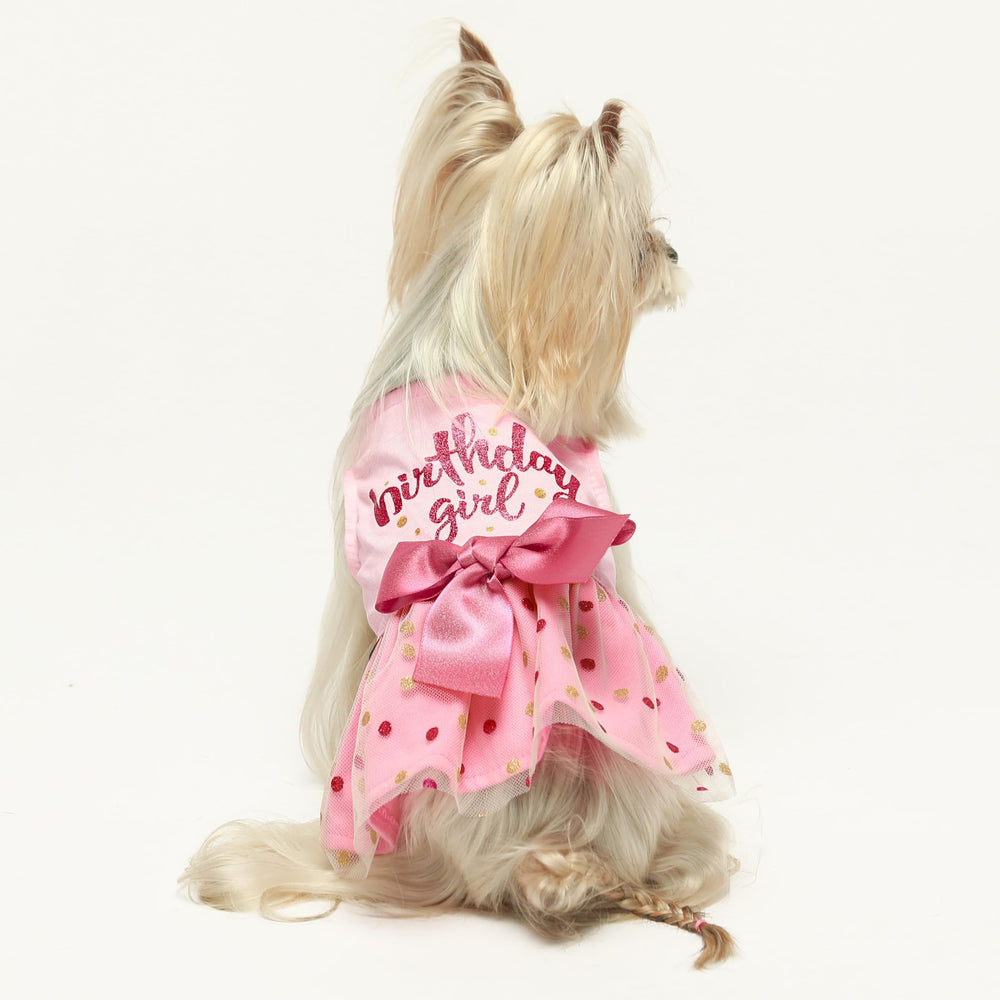 Robe Fitwarm en tulle rose pour petit chien, léger et élégant