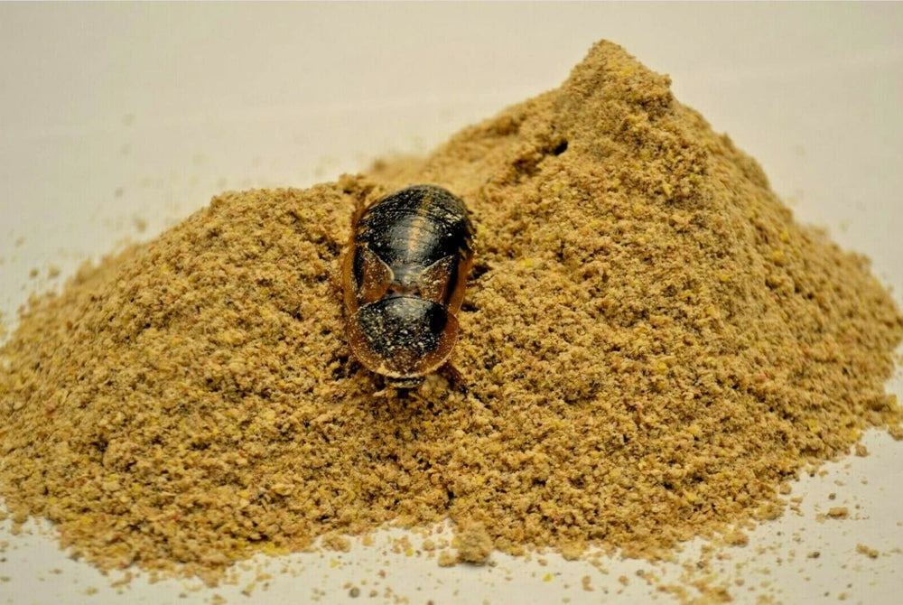 Five-Star Feeders alimento insectos con calcio fortificado para reptiles.