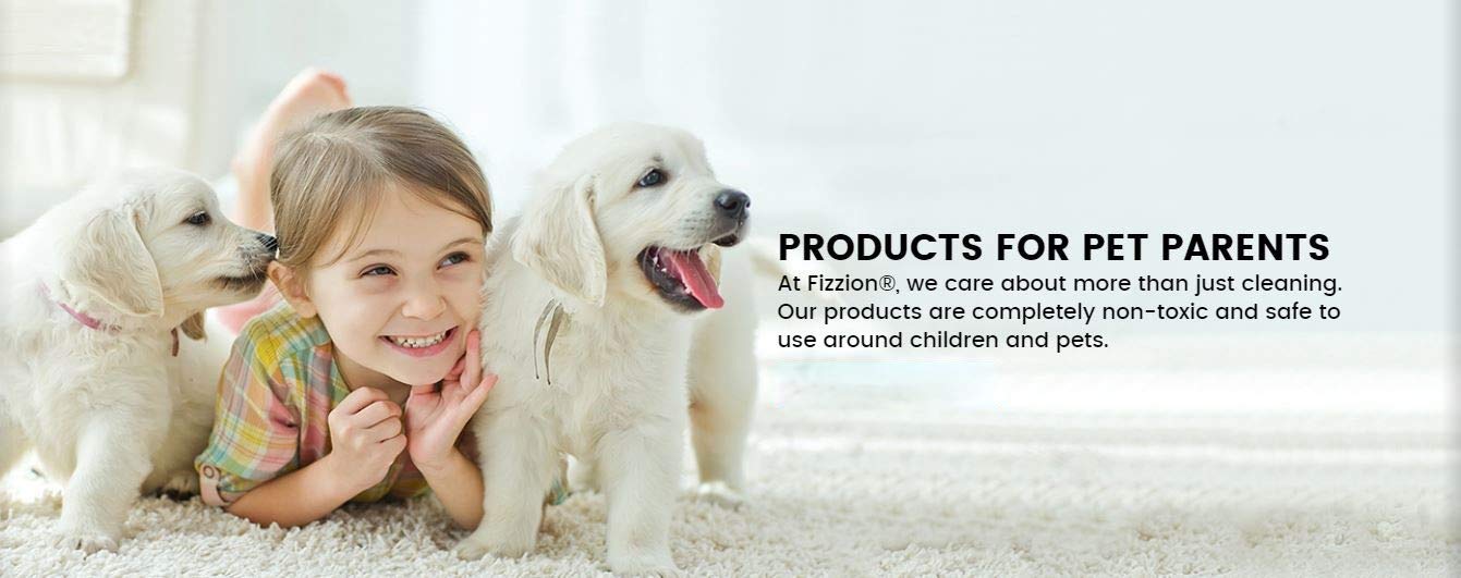 Fizzion: uso seguro cerca de niños y mascotas para limpieza diaria.