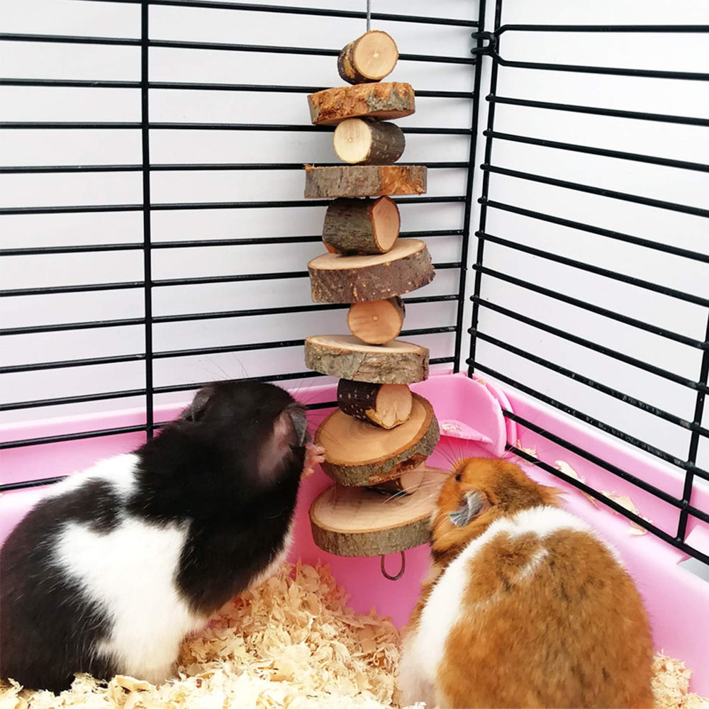 FJNATINH mordedor de manzana para jerbo, fomenta masticación saludable.
