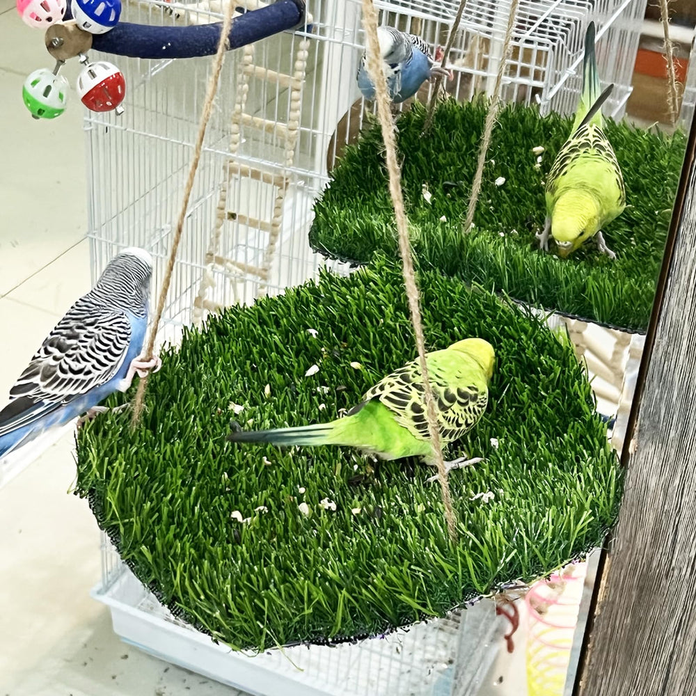 FlidRunest Hamaca de grama artificial para aves, descanso cómodo