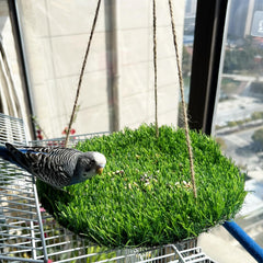 FlidRunest Tapete forrajeo grande para aves, estimula exploración y búsqueda de comida