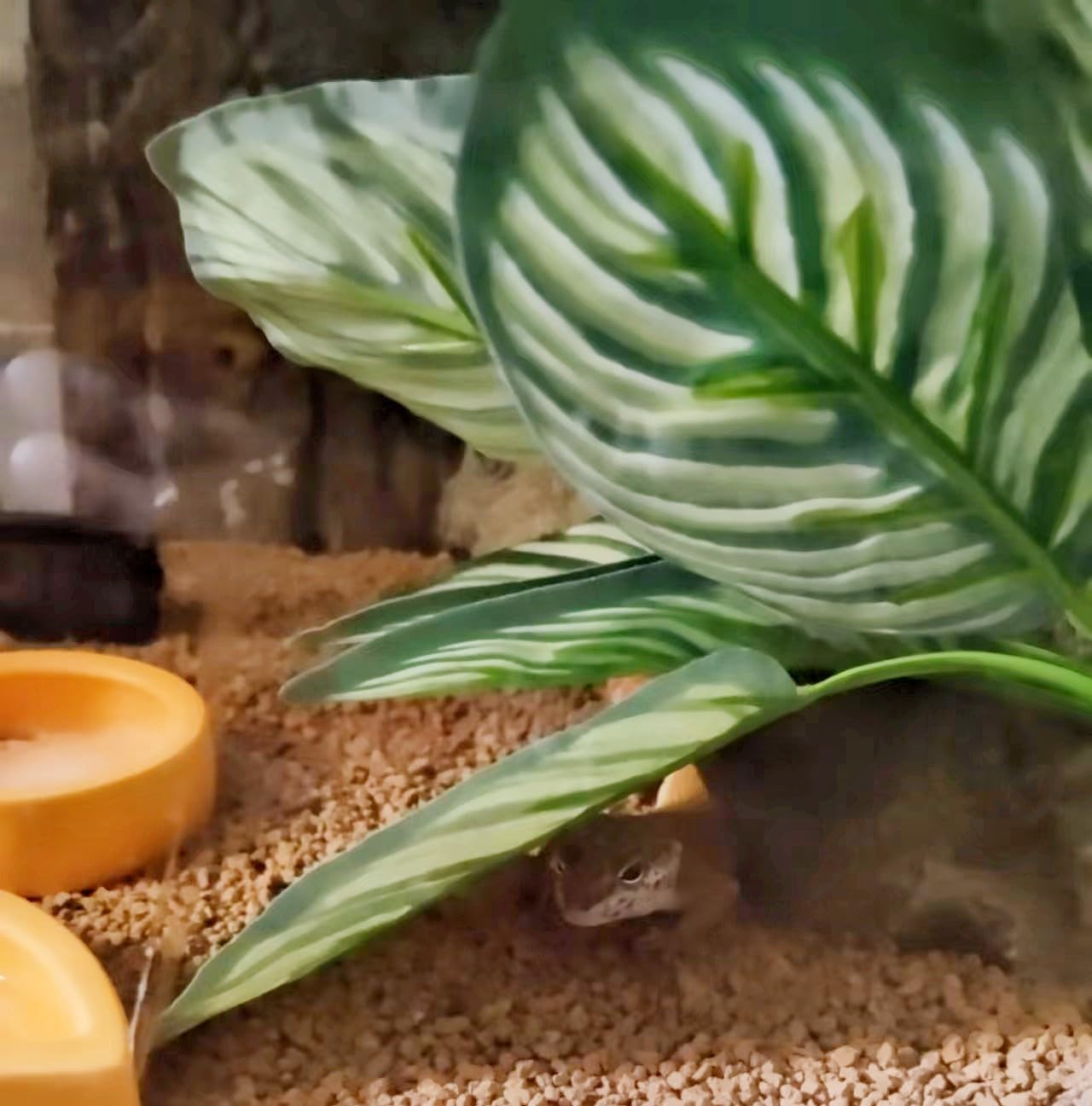 FLmoving planta decorativa duradera para terrarios de reptiles