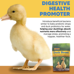 Duck Boost en polvo disolviéndose en agua para crías.