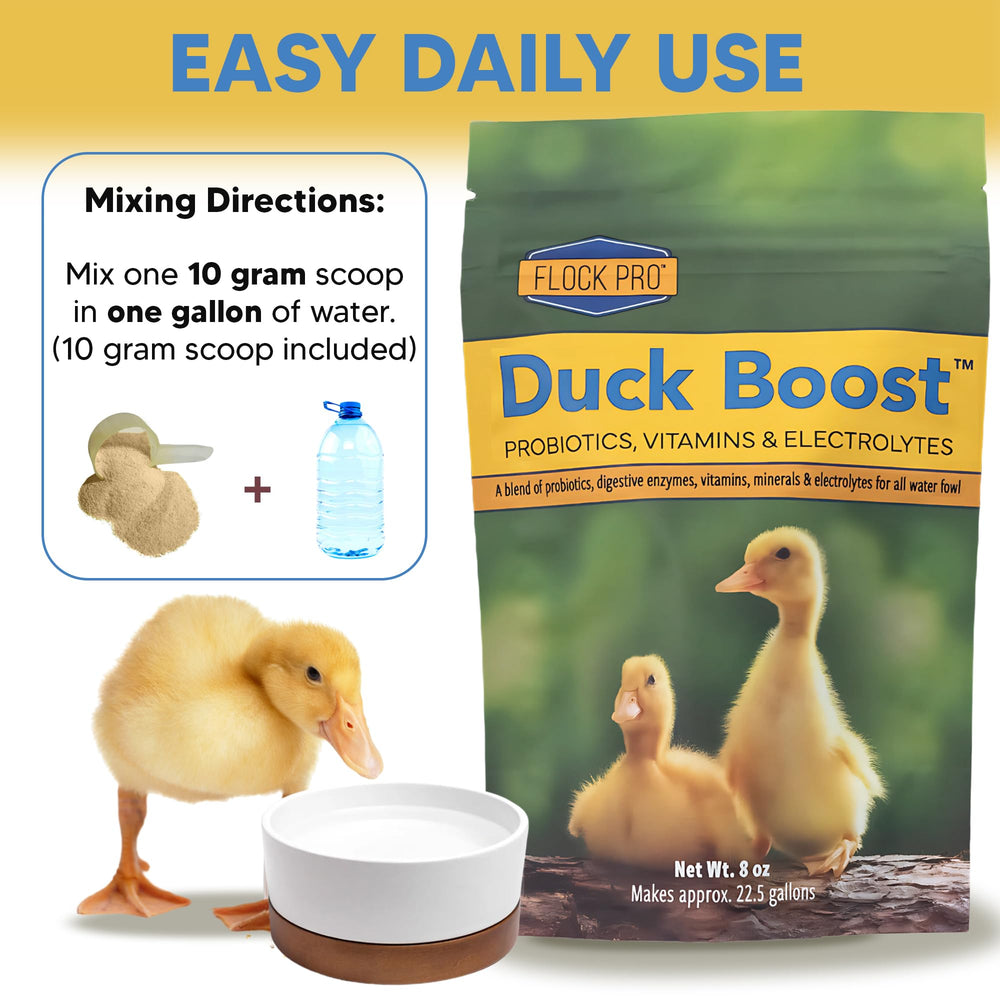 Patitos bebiendo agua con Duck Boost como suplemento.