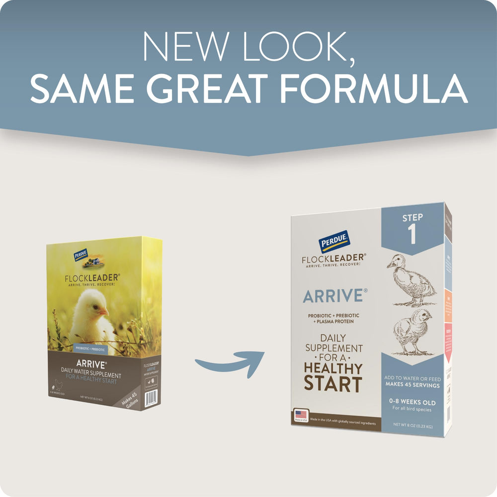FLOCKLEADER Arrive bacterias vivas, viabilidad asegurada con secado único.