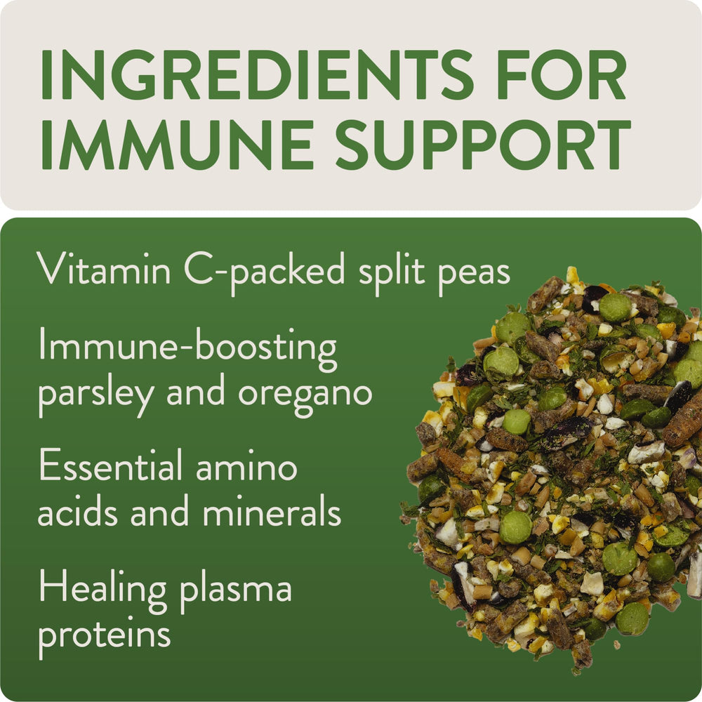 Defend de FLOCKLEADER con vitaminas C y zinc, posible impulso inmunitario