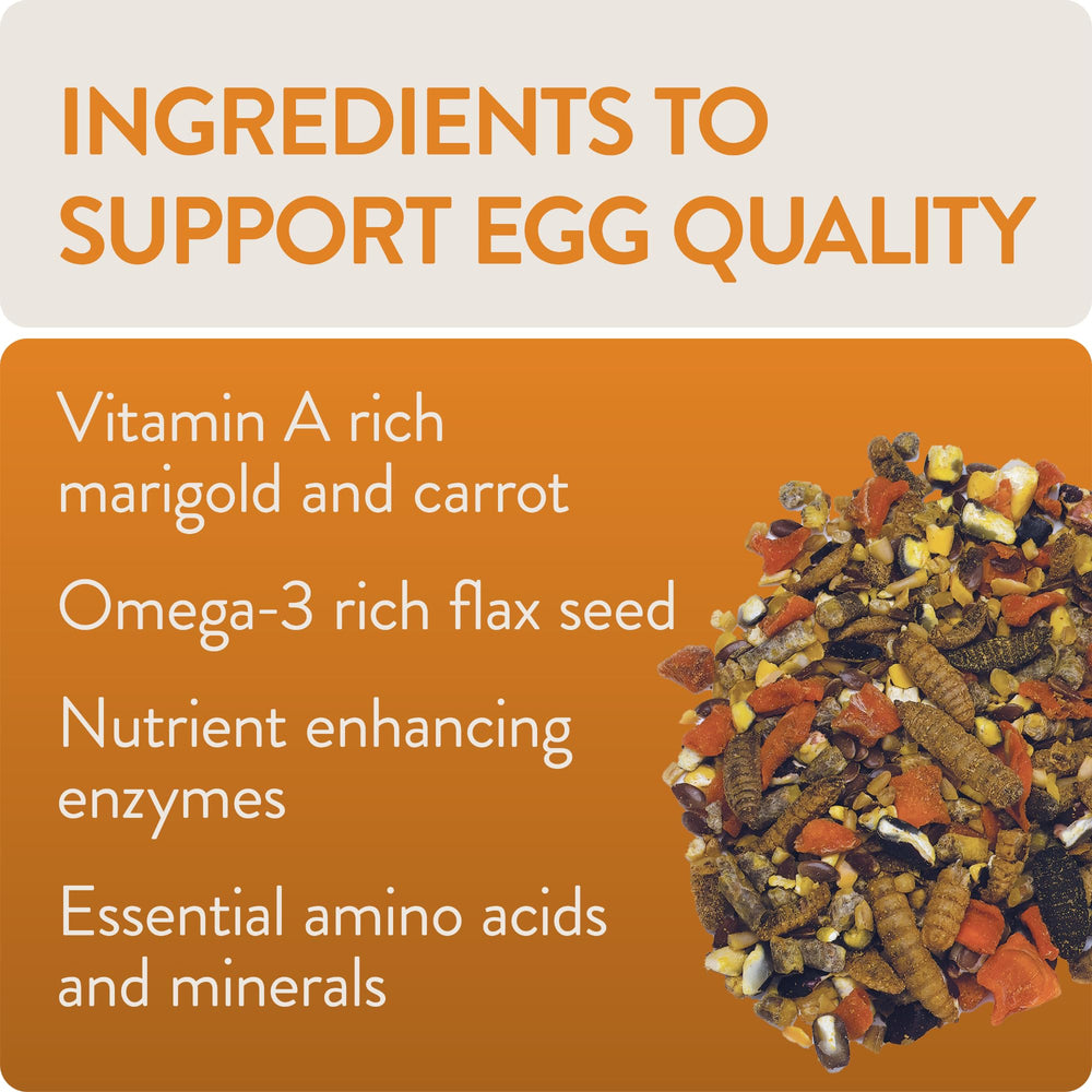 FLOCKLEADER Enhance: lino y omega-3 para la yema de huevo.