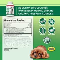 Vital Planet Flora Dog ofrece 20 mil millones de culturas para la salud intestinal.
