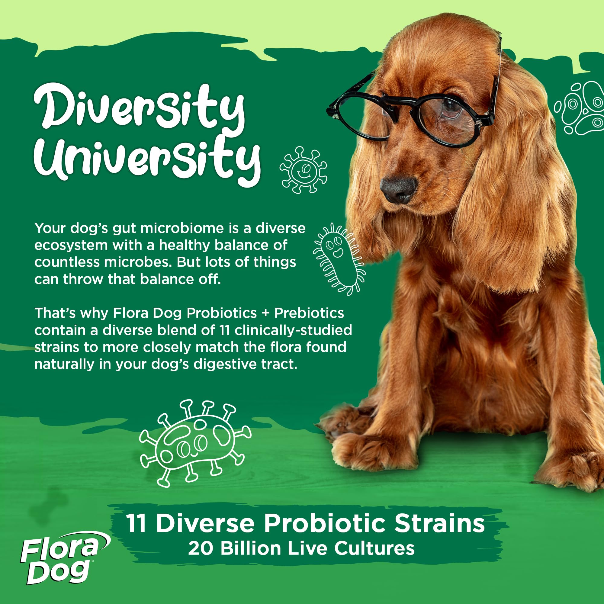 Cápsulas Flora Dog Probióticos abiertas para espolvorear en alimento
