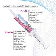 FLORA-PECTIN probióticos mezcla, ayuda a restablecer flora intestinal