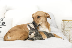 Walter Wabbit de Fluff & Tuff, detalle de costuras dobles, ideal para juegos seguros