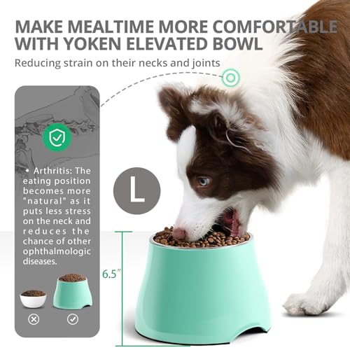 FluffyDream base antideslizante mantiene estable el cuenco durante la comida.