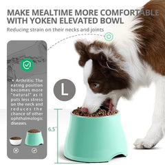FluffyDream base antideslizante mantiene estable el cuenco durante la comida.