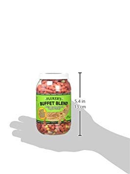 Fluker's Buffet Blend, imagen del dragón barbudo degustando vegetales, uso diario seguro.