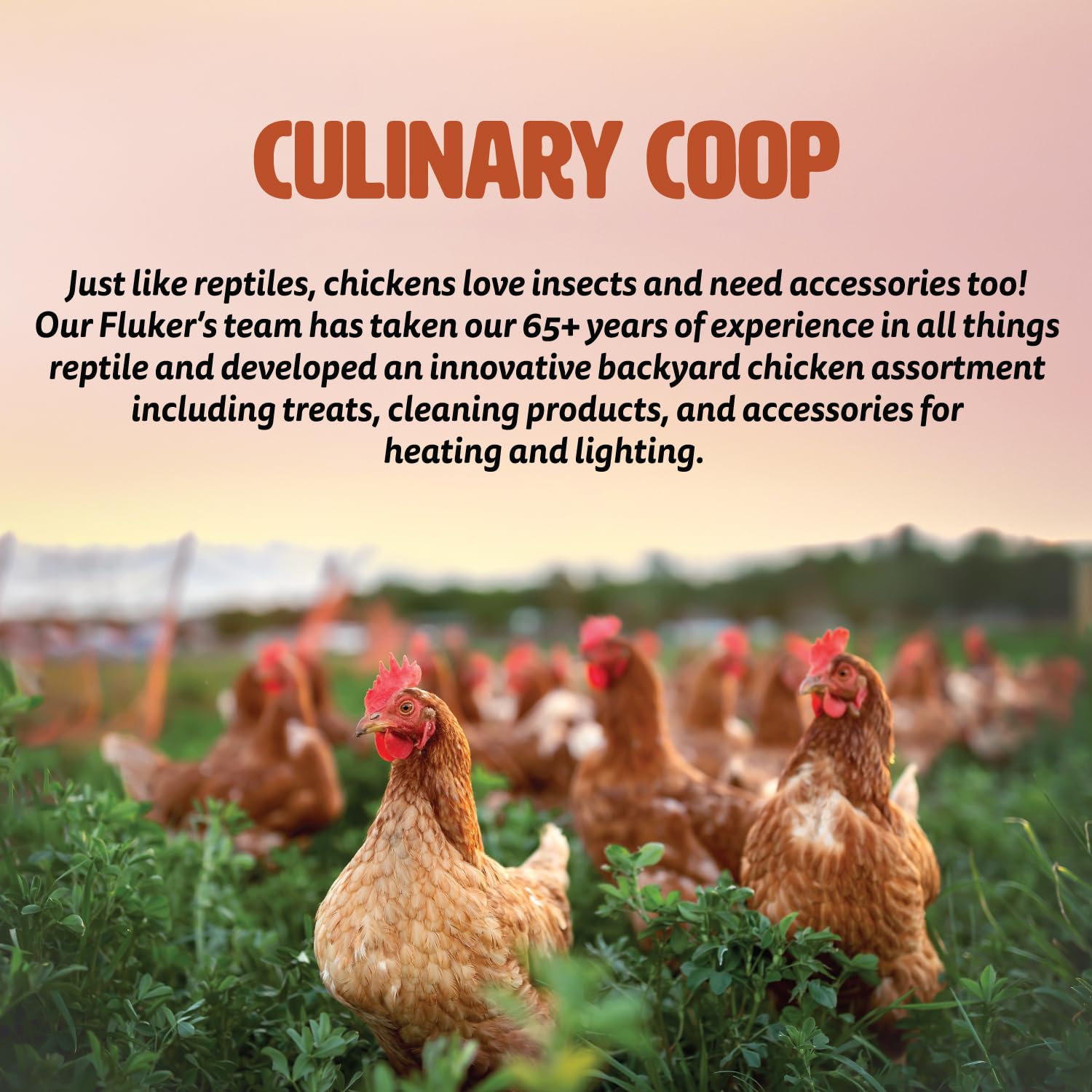 Fluker's Culinary Coop: uso en aves y reptiles, complemento nutritivo.
