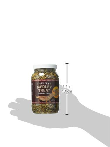 Fluker's dragón barbudo, alimento-enriquecido, vitaminas y minerales.