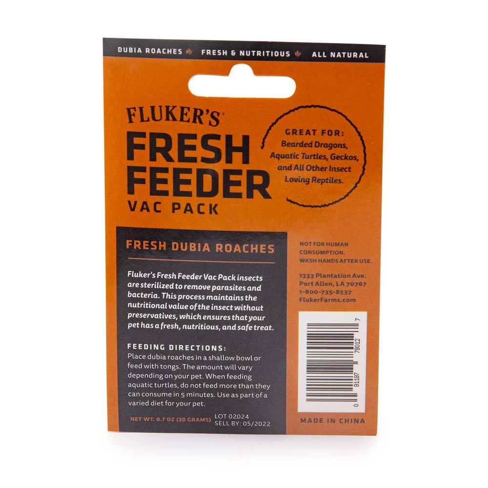 Dubia cucarachas vista en lote limpio y nutritivo para reptiles insectívoros