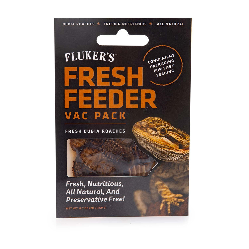 Fluker's Dubia cucarachas envasadas al vacío, opción natural para reptiles insectívoros