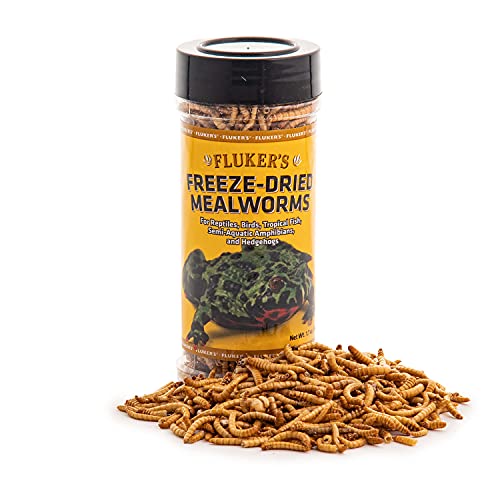 Gusanos liofilizados Fluker's para reptiles, proteína práctica.