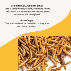 Fluker's Freeze Dried Mealworms, etiqueta nutricional; fuente de proteínas y aminoácidos.