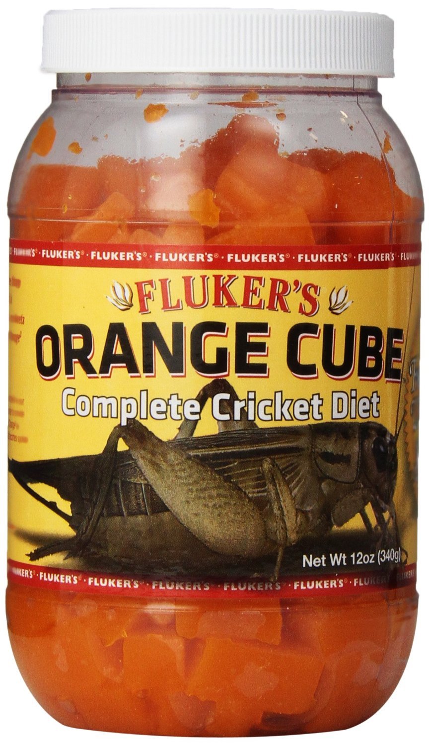 Fluker's Cubo Naranja para grillos, dieta con vitaminas y agua