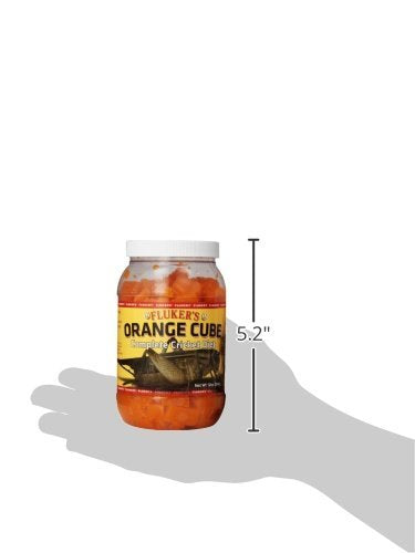 Fluker's Cubo Naranja para grillos vivos, nutrición y hidratación