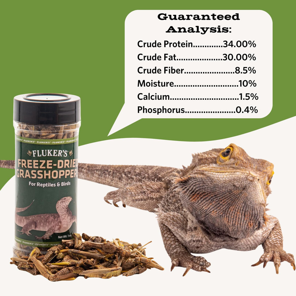 Fluker's saltamontes secos alimento natural para complementar la dieta diaria.