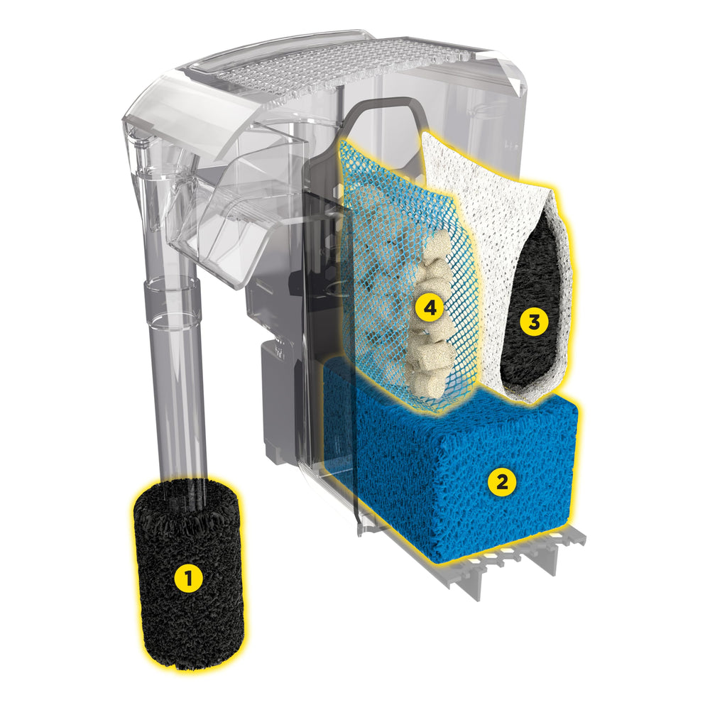 Uso doméstico del Fluval AC50 para acuario, agua clara.