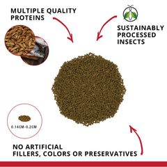 Fluval Bug Bites granulos cerca, proteína insecto para crecimiento saludable.