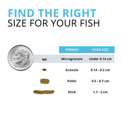 Fluval Bug Bites: omega 3 gracias a la harina de salmon para piel y escamas sanas