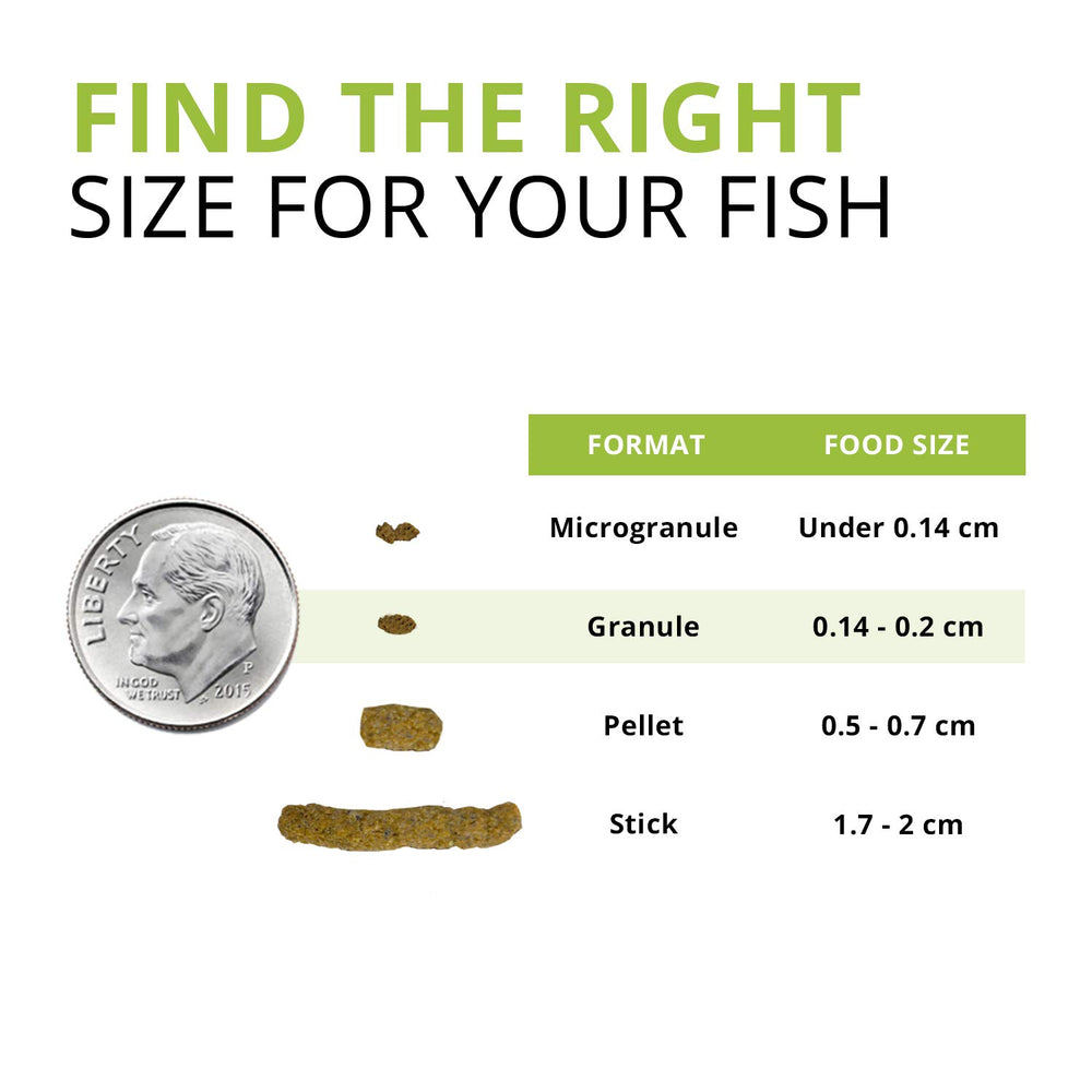 Fluval Bug Bites: proteínas omega-3 para piel, escamas y aletas sanas.