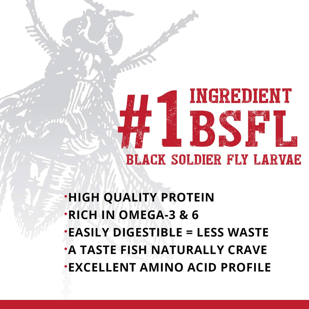 Proteínas con Omega-3 y Omega-6 en Fluval Bug Bites para piel y escamas.