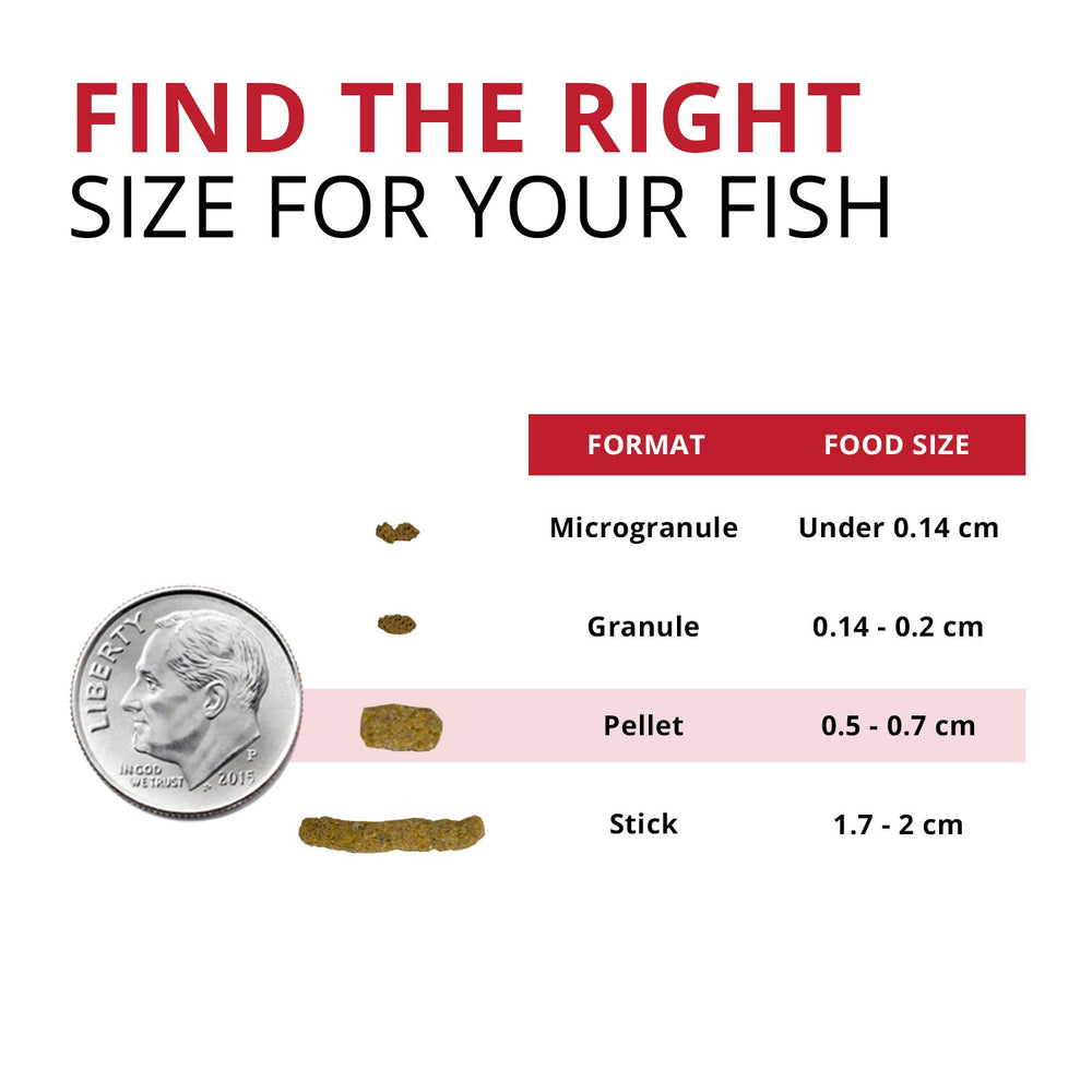 Fluval Bug Bites: vitaminas y minerales para dieta diaria equilibrada.
