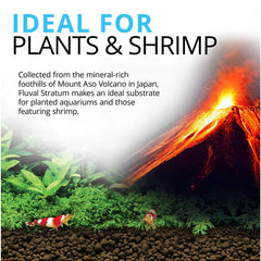 Fluval Stratum favorece la colonización de bacterias beneficiosas para agua clara.