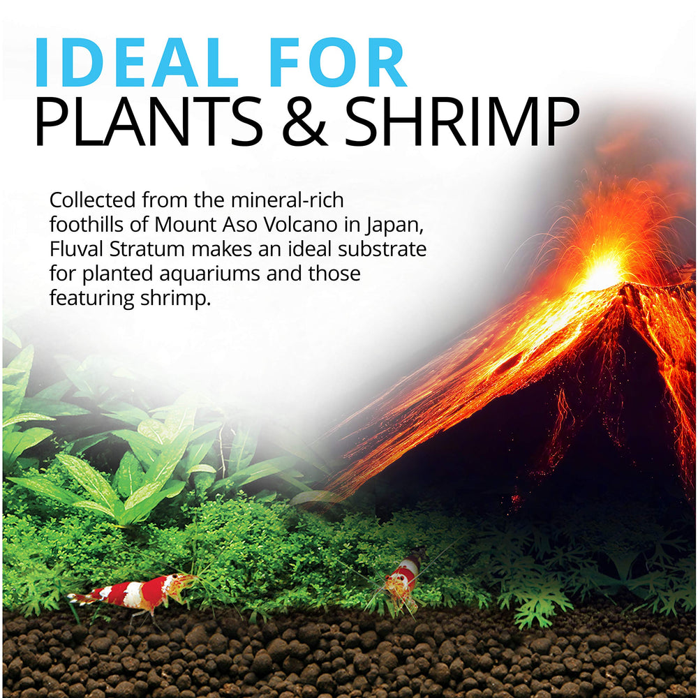 Fluval Sustrato para Plantas y Camarones facilita rápida colonización de bacterias nitrificantes beneficiosas.
