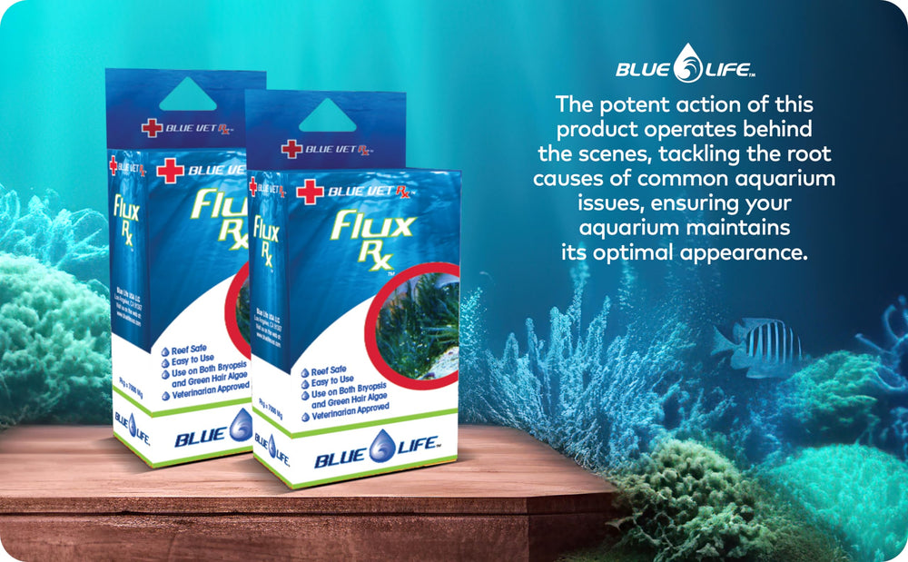 Flux RX 7000mg, acuario colorido y saludable, posible mejora de la belleza natural.