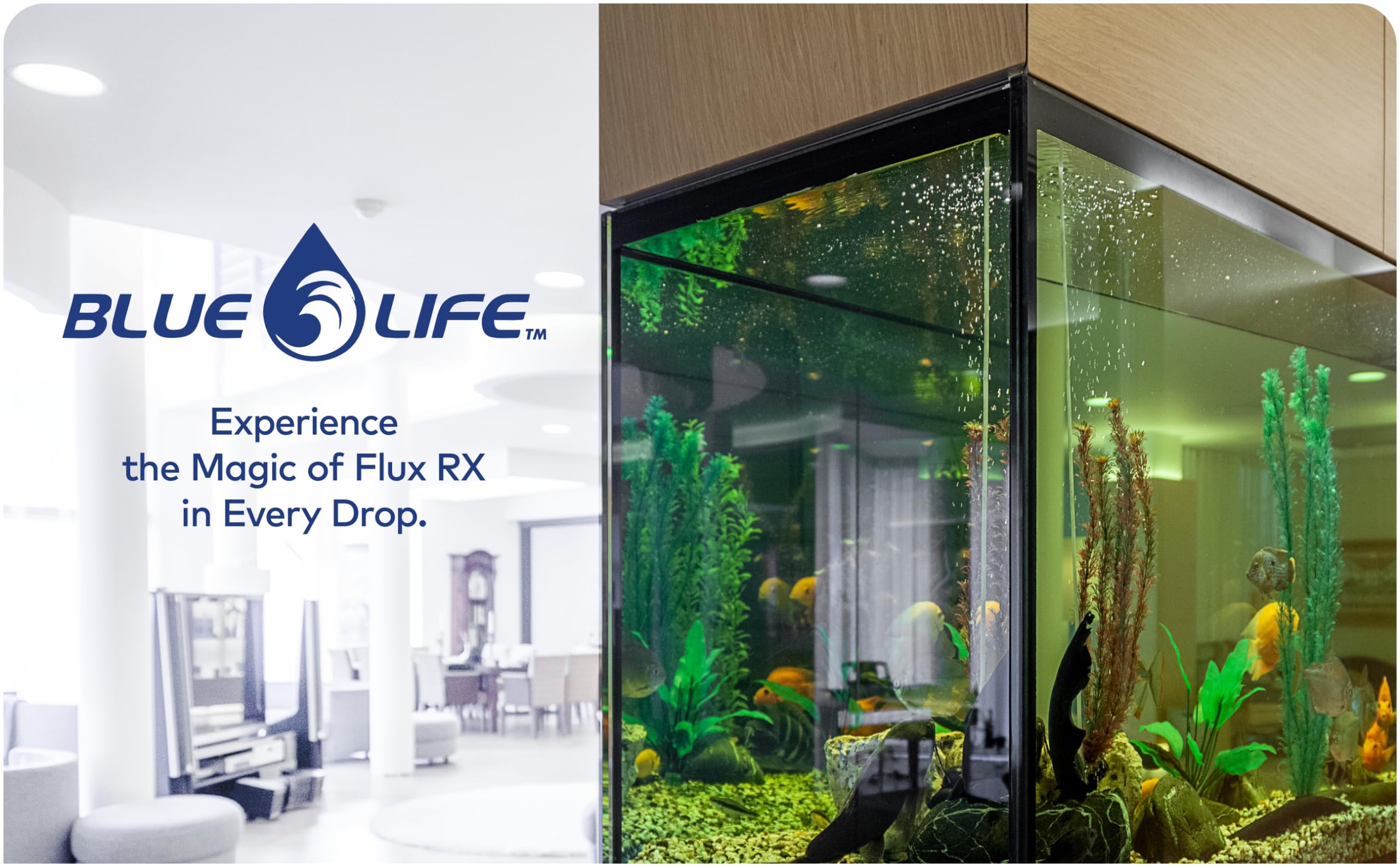 Flux RX 7000mg, aplicación fácil, ideal para mantener el agua estable sin complicaciones.