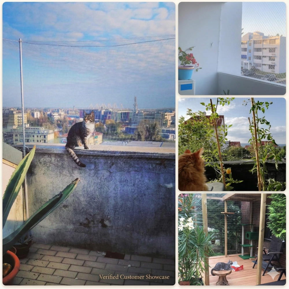 Fluxionova red para terraza de gato; segura y ligera para mascotas