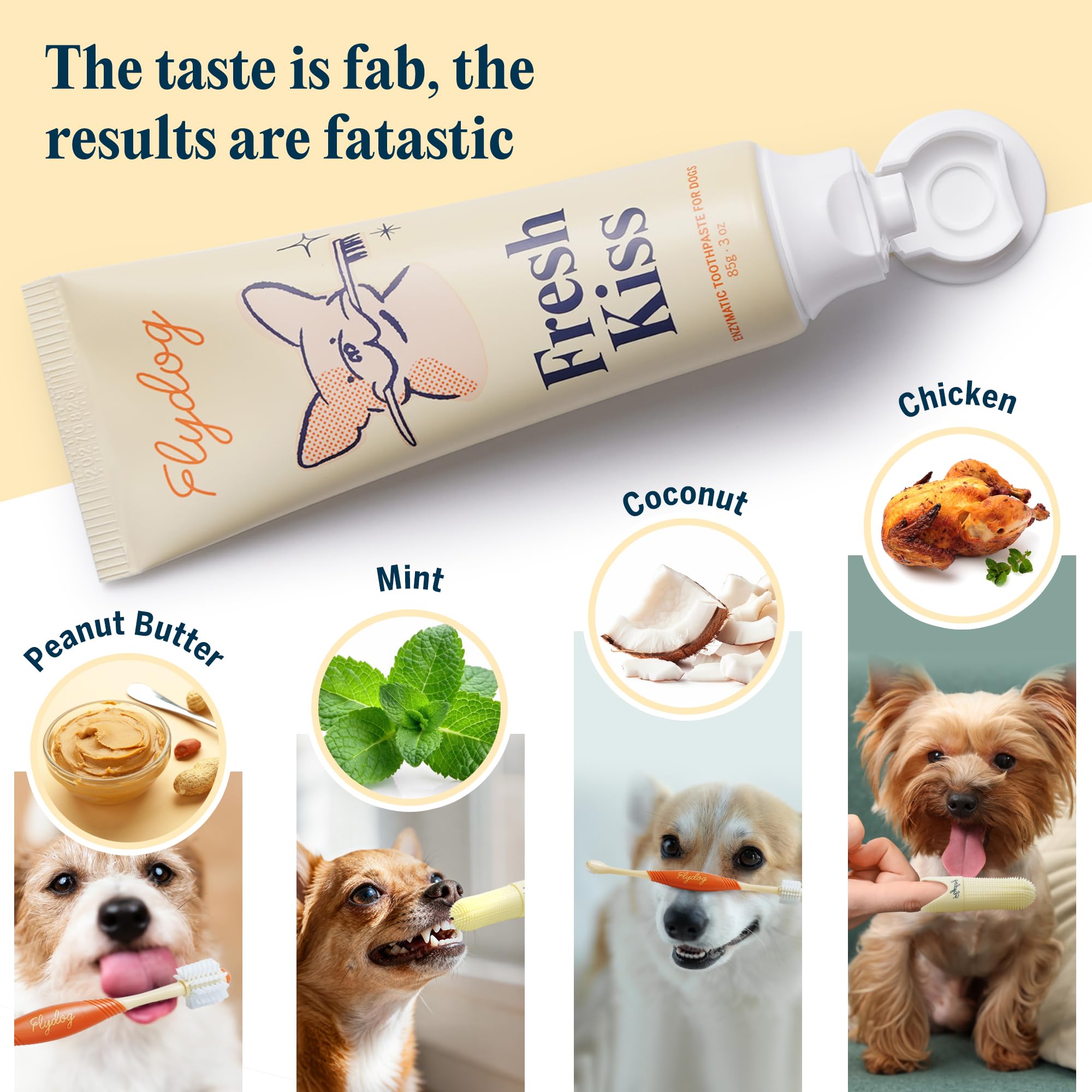 FlyDog Fresh Kiss guia-brushing: guía paso a paso y calendario para hábitos sostenibles.