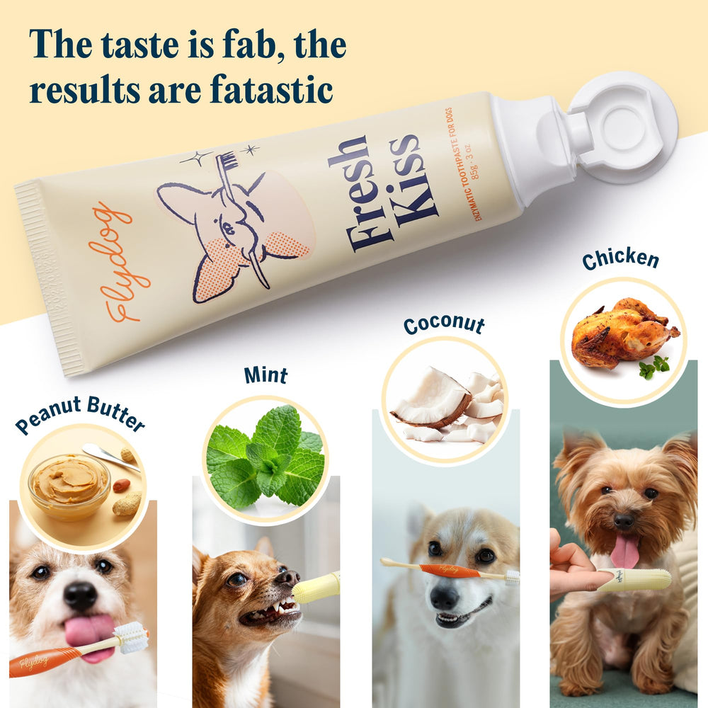 FlyDog Fresh Kiss guia-brushing: guía paso a paso y calendario para hábitos sostenibles.