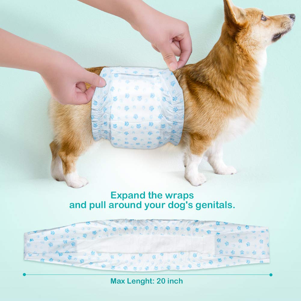 Núcleo absorbente de Flying Paws mantiene la orina contenida durante la actividad.