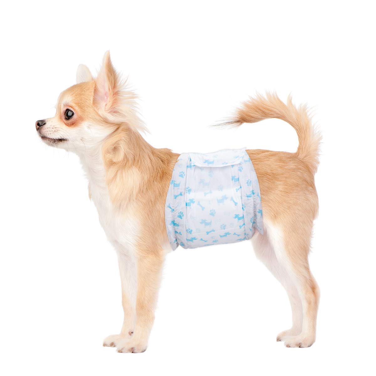 Flying Paws pañales para perro macho absorbentes brindan ajuste cómodo y protección.