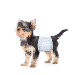 Pañales Flying Paws para perro macho, ajuste cómodo y protección de fugas
